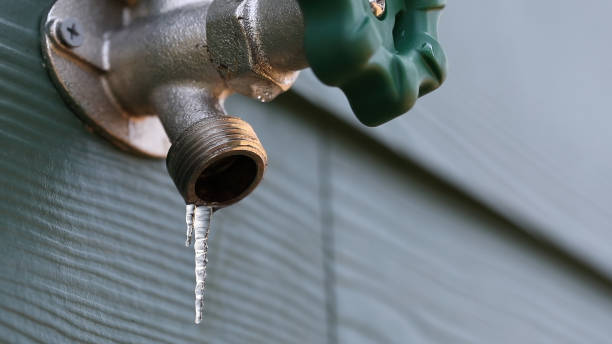 Best Shower Repair Services  in Krugerville, TX